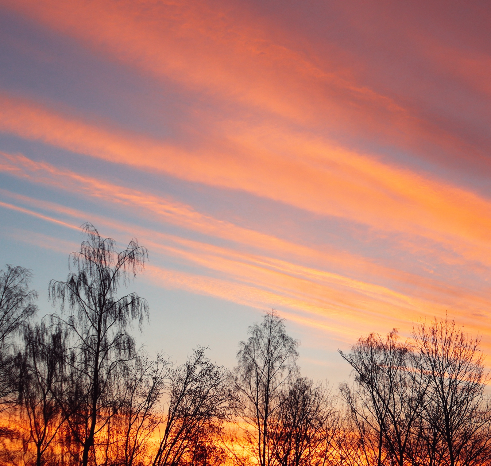 Autumn Care: Skin, Body & Mind in Balance