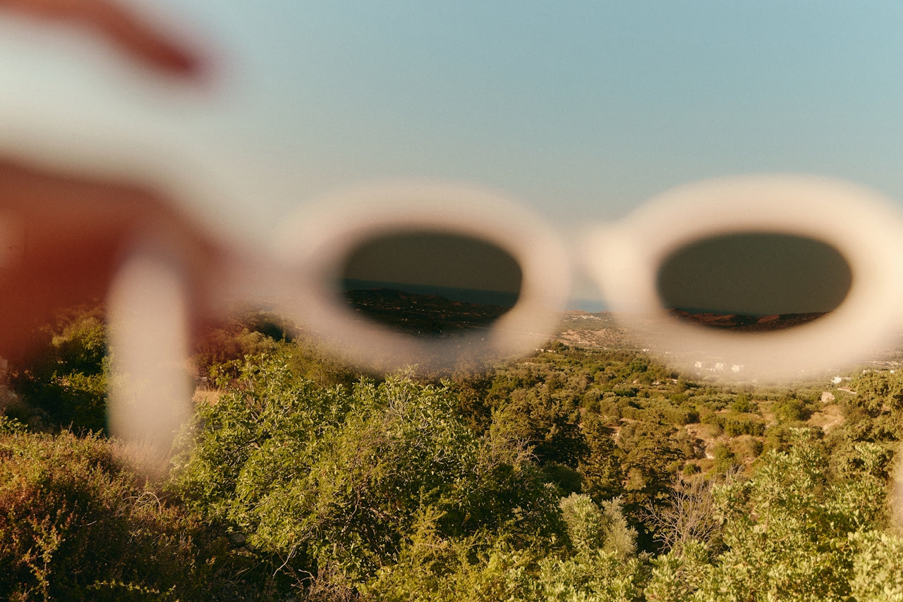 sunglass and woods